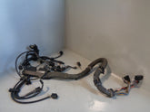 Freelander 1 Engine Wiring Loom 2.0 TD4 Land Rover 2001 to 2006 R30055
